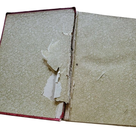 Lot of 2 Antique/Vintage Books - Shakespeare, New Century American Star Speaker - Picture 6 of 12